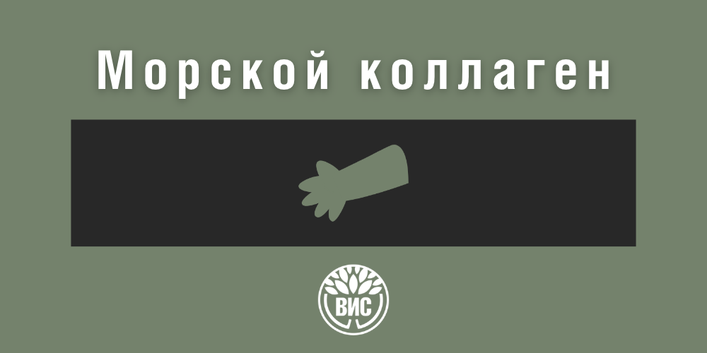 Морской коллаген для кожи и суставов: какой выбрать и как принимать