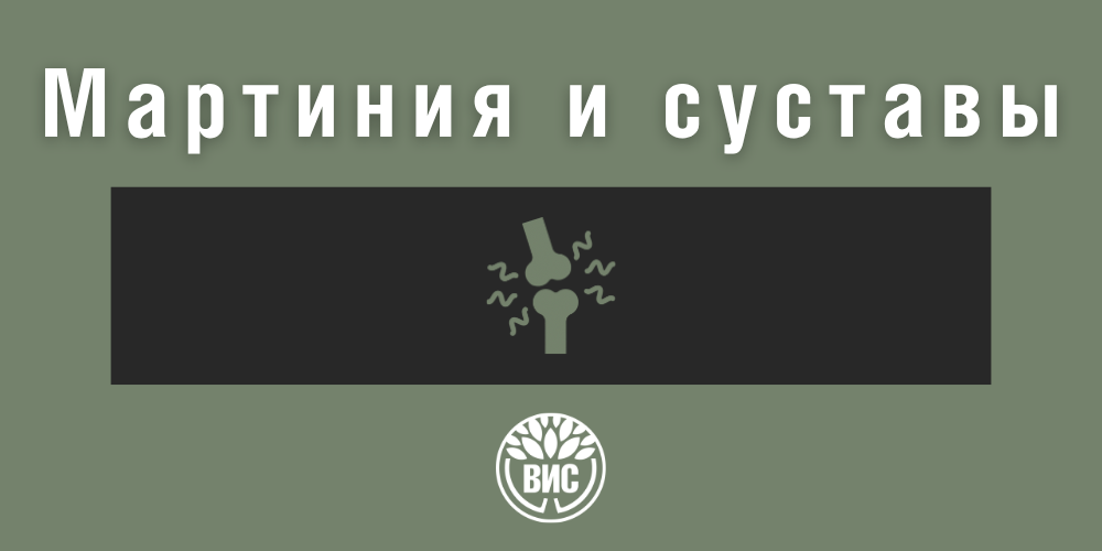 Мартиния для суставов: свойства экстракта, применение при боли и воспалении